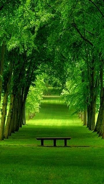 By Letest Mobile Wallpaper, Mobile Wallpapers Are, Free Wallpapers Collection Mobile Phones Ipad Smartphone, Mobile Phone Wallpaper: PVG, Wallpaper Themes Mobile Phones