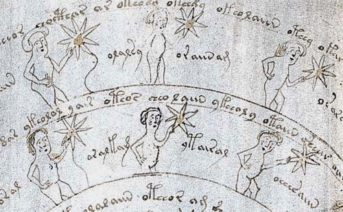 Stars Attached To Women Voynich Davidsch