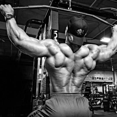 exercices de musculation du dos