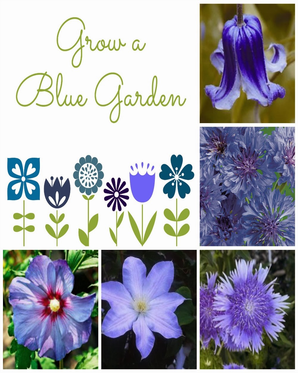 Blue Flowers for the Garden