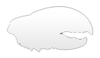 mandible claw ©