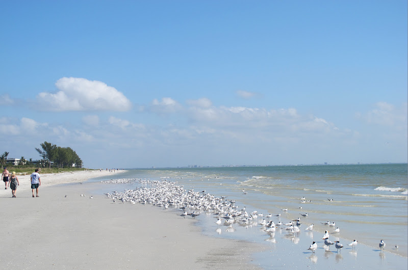 TOP WORLD TRAVEL DESTINATIONS Sanibel Island, Florida