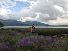 Mt Fuji. Early Summer. Lavendar Field