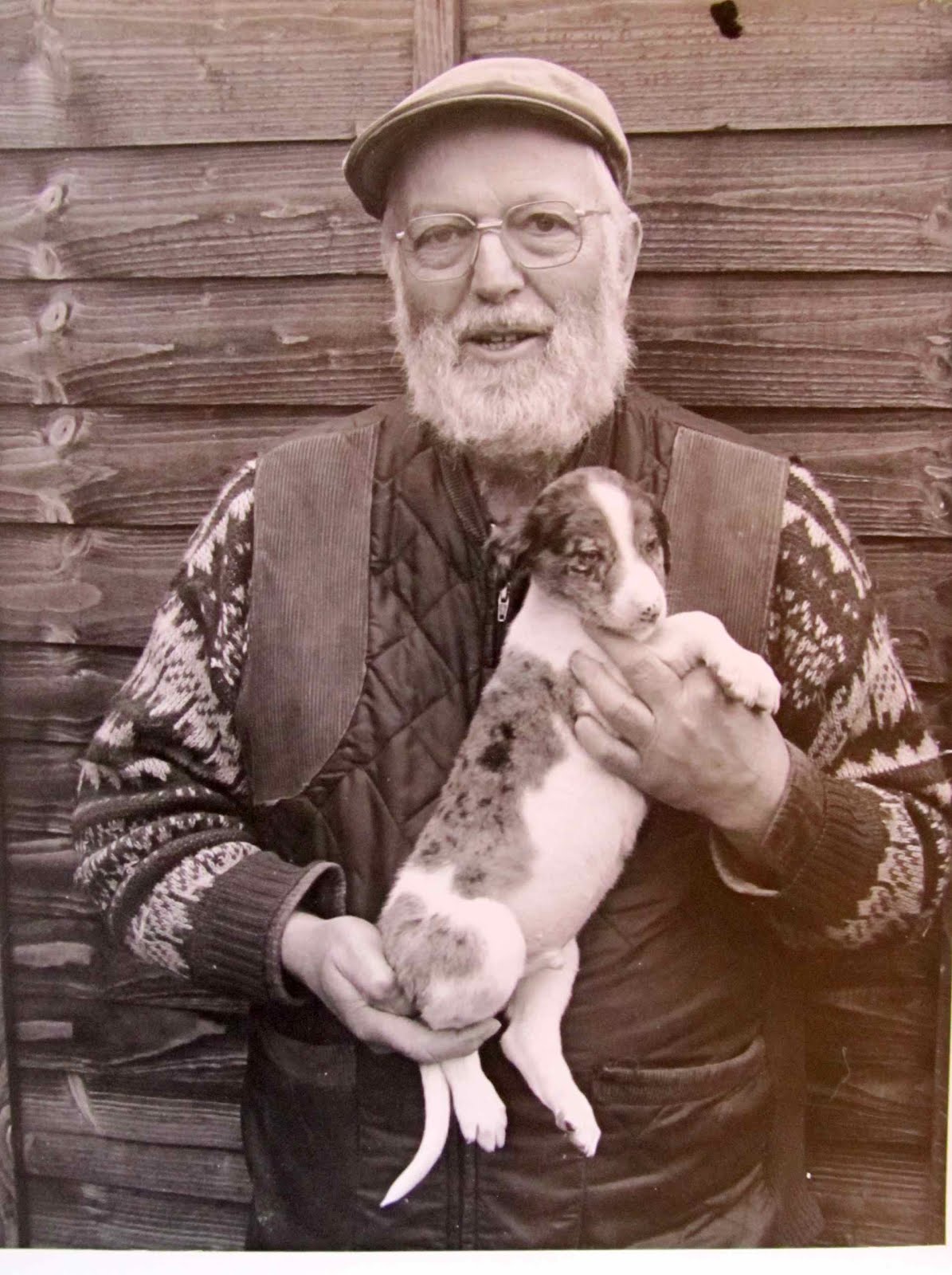 david hancock lurchers website