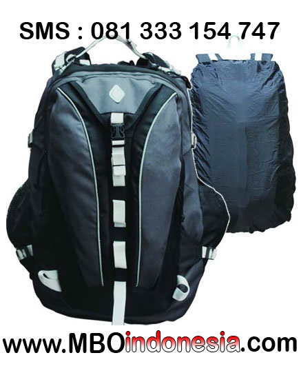 Tas Ransel Pria 20 Fakta Unik Tentang Hibernasi Mamalia - Lapakfjbku.com