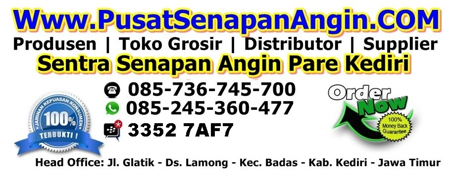 Jual Senapan Angin Gejluk PCP, Harga Jual Senapan Angin PCP Model Terbaru dan Murah