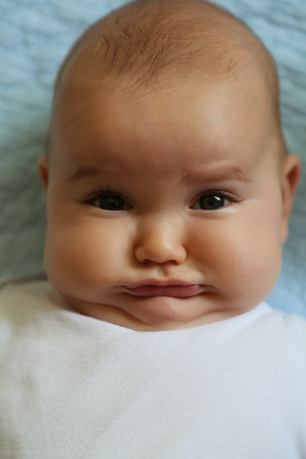 the sickles family tack's bitter face and simply being adorable