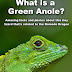 What is a Green Anole? - Free Kindle Non-Fiction