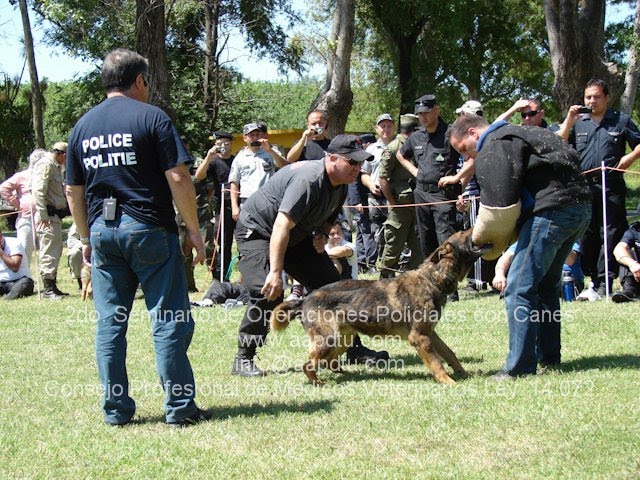 curso para perros policiales