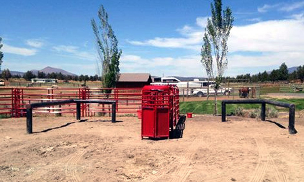 Breakaway Roping Roping Boxes Box Information Center