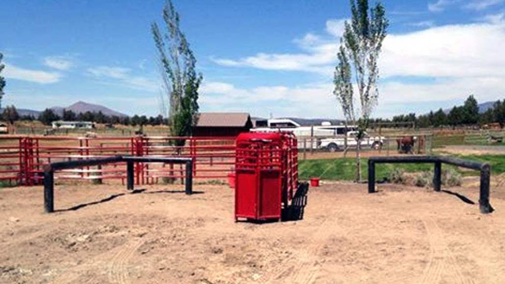 Breakaway Roping Roping Boxes Box Information Center