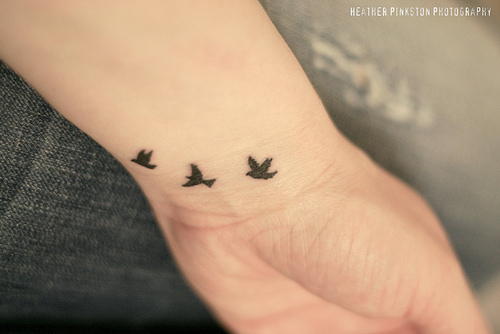 Swallow tattoos