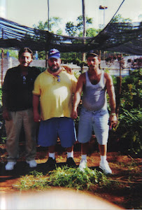 Lazaro Gonzalez Gonzalez, Aramis Gonzalez Gonzalez y Radames Gonzalez Gonzalez, Cuba, Junio 22 2003
