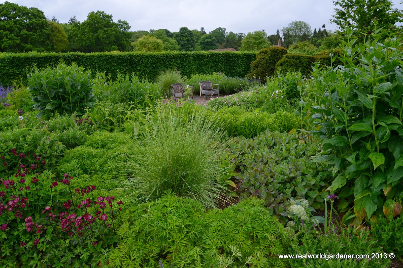 Real World Gardener Introduction to Garden Design with Ornamental Grasses