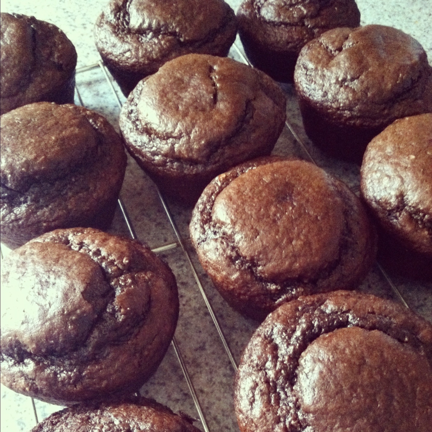 Dark Chocolate Peanut Butter Protein Muffins Fit and Healthy with Debbie