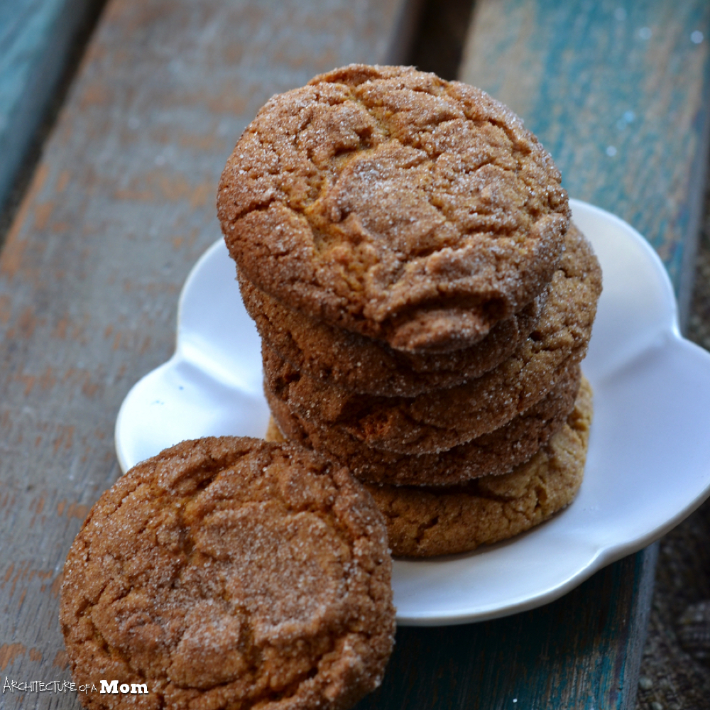 Architecture of a Mom Chewy Gingerbread Cookies (from Cake Mix & Cool