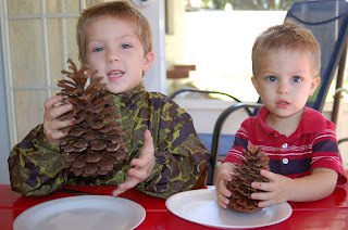 boys holding pinecones