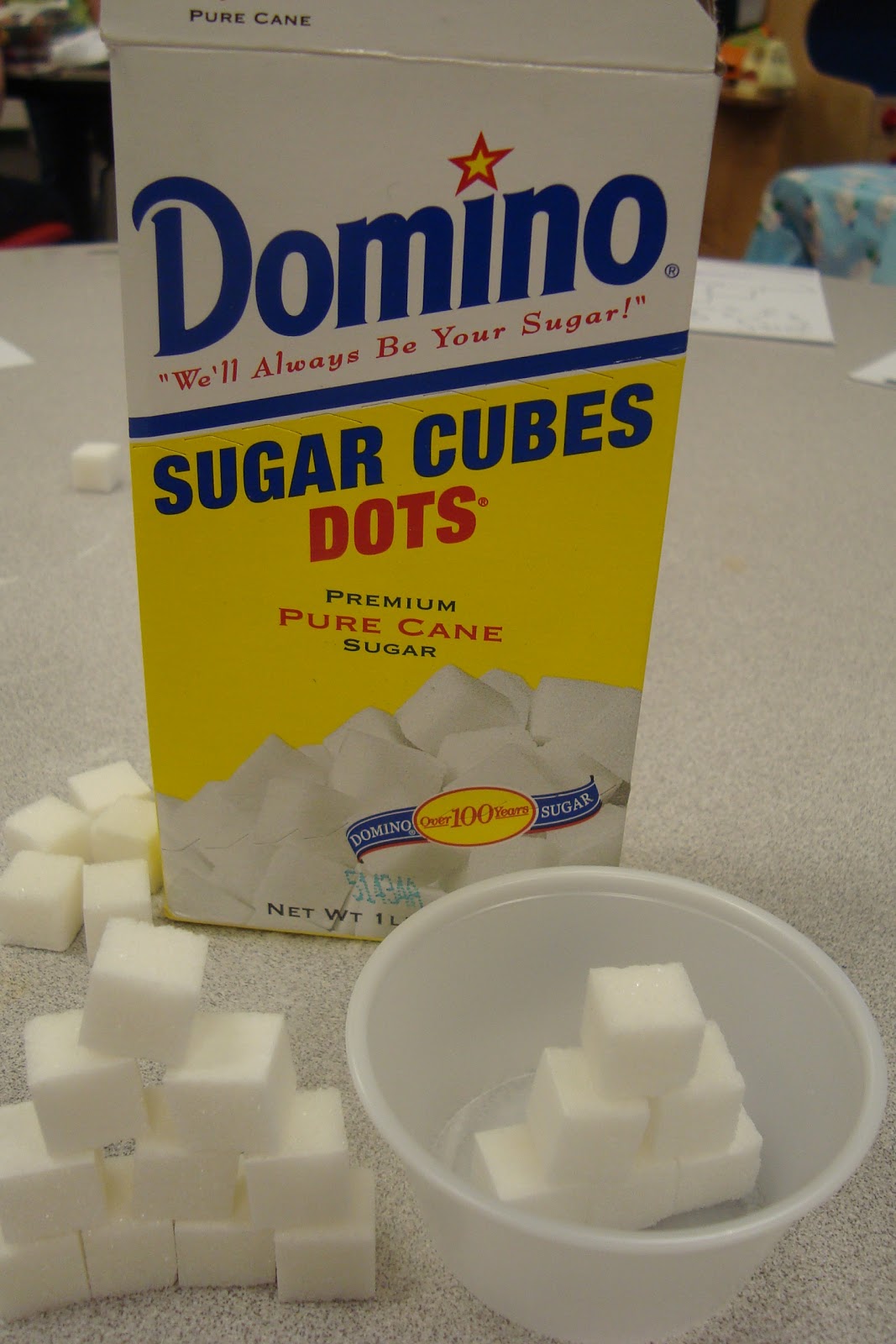 Sweet Life of First Grade Sugar Cube Science Experiment