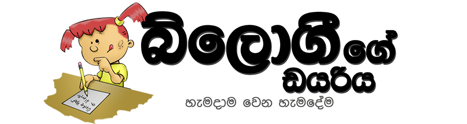 බ්ලොගීගේ ඩයරිය