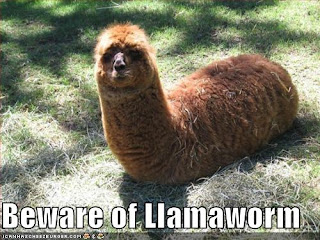 Funny+Llama+wallpaper2.jpg