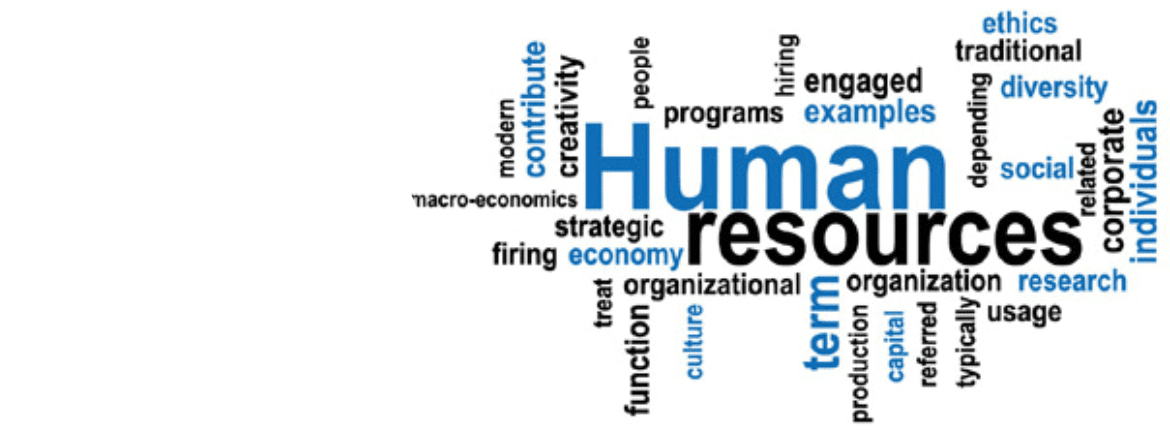 dissertation on human resource management pdf