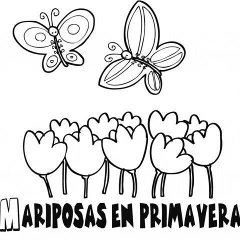 Dibujos de mandalas de mariposas para pintar | Colorear