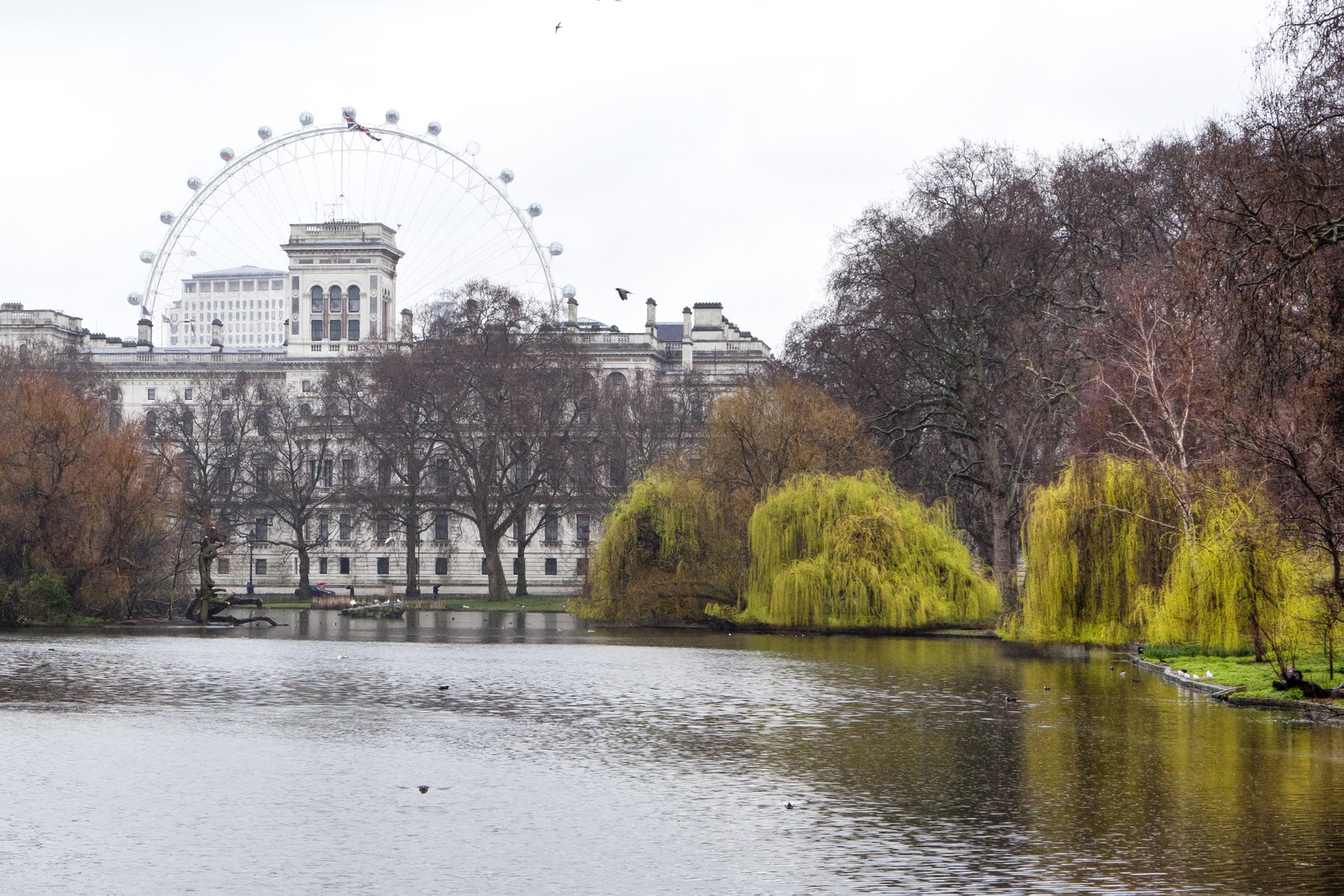 Blog de Fotografía: Londres, primavera pero lloviendo como siempre...