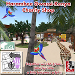 Harambee Gwassi-Kenya Charity Shop
