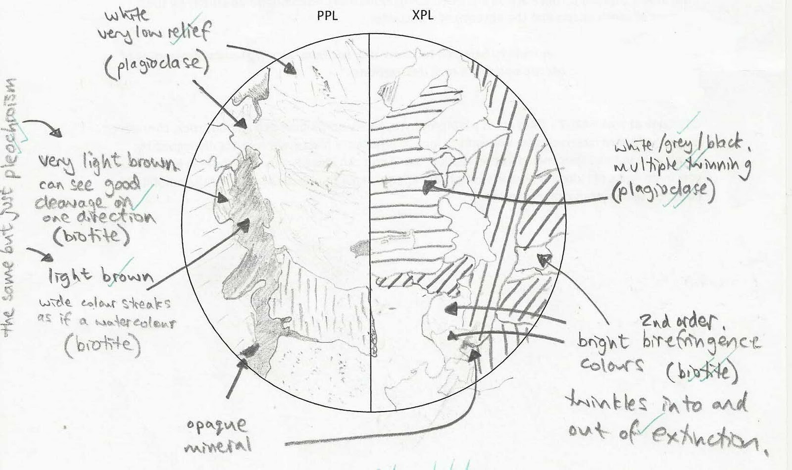 Unique Draw A Concept Sketch For Mica Structure Geology 