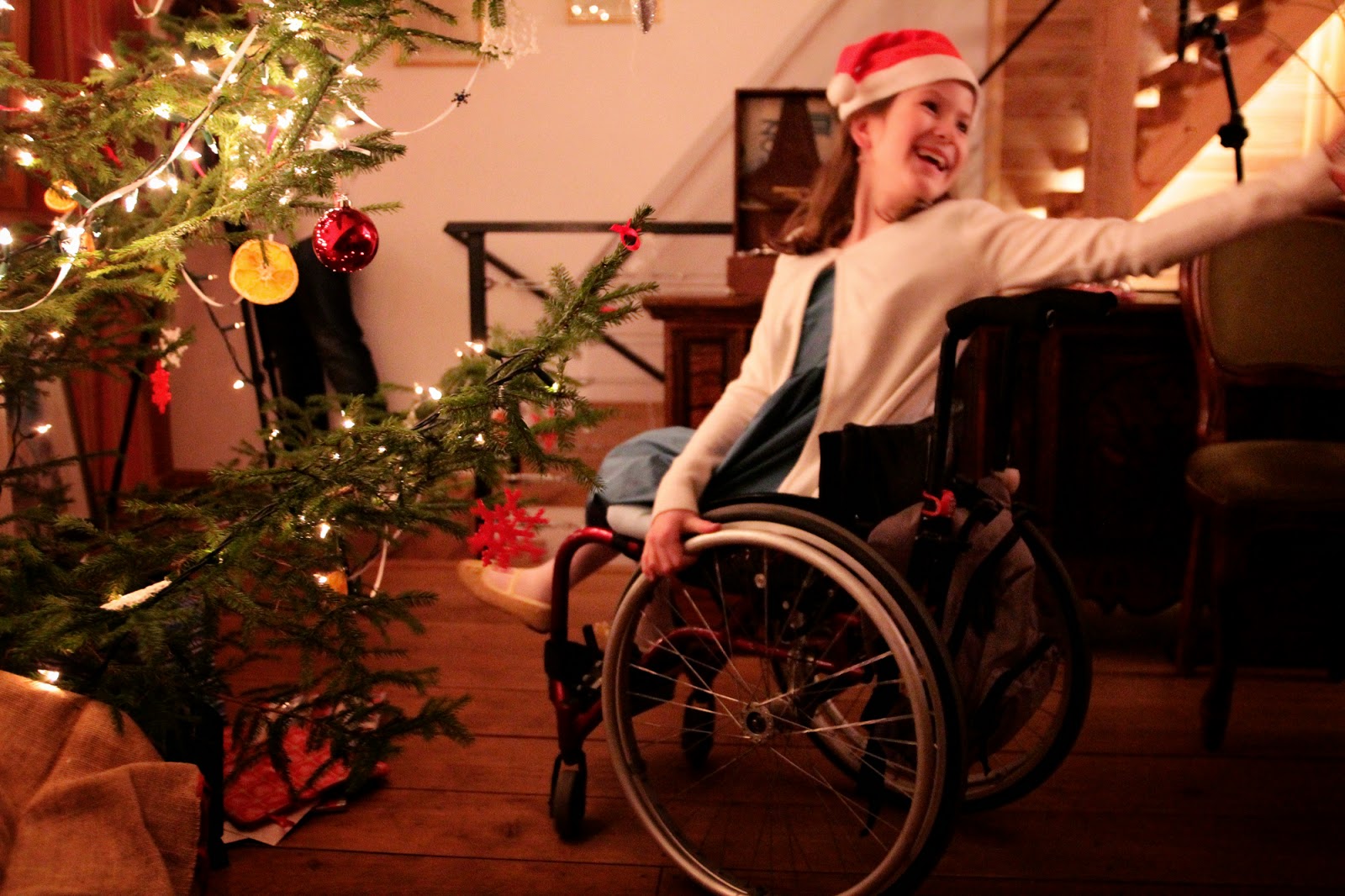 Gwiazdka w Puszczy - Ania w Podróży