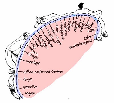 Piaw S Blog June 20th Immendstadt To Fussen