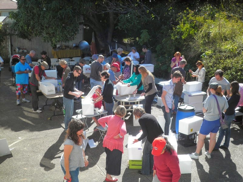 SpurTopia Happy Day 8 SpurTopia Happy Day