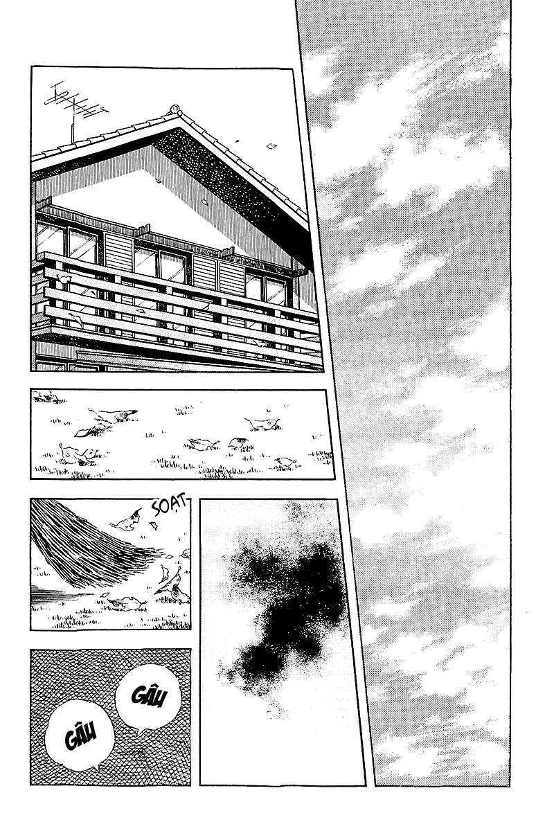 Touch chap 257 – End Trang 3 - Mangak.info Touch chap 257 – End Trang 3 - Mangak.info