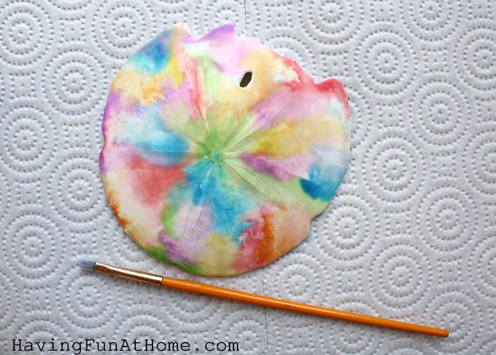 Having Fun at Home Watercolor Painting on Sand Dollars