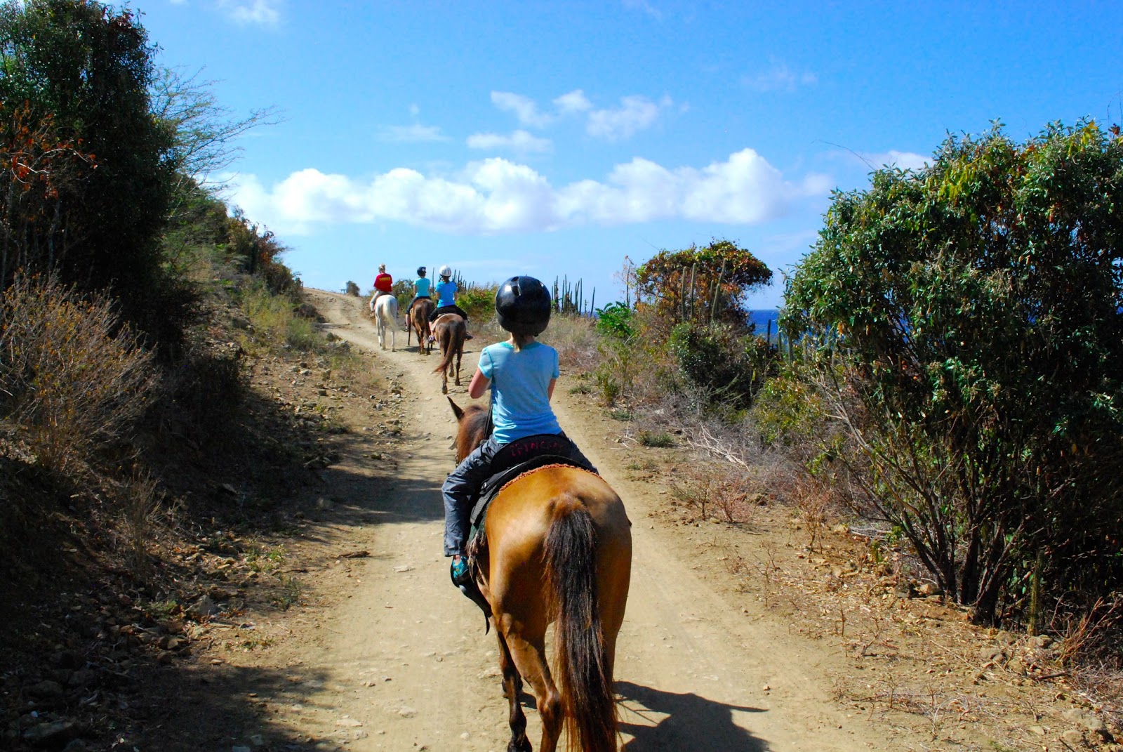 Wanderlust Traveler St. Maarten/St. Martin (Sightseeing)