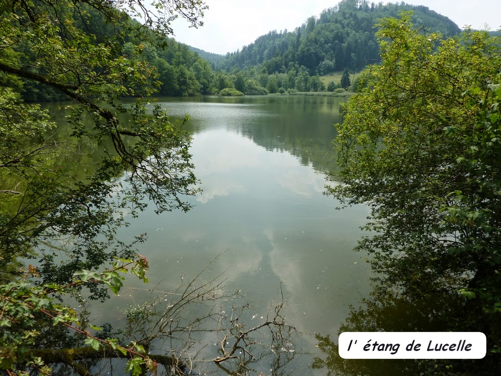 centre de rencontres lucelle