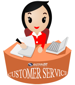 Cashier Customer Service Resume Sample Cashier Customer Service Resume Sample