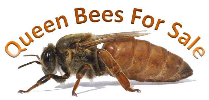 Logiciel EcoFax - OVH TELECOM