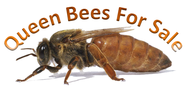 Honey Bees For Sale Vancouver Island Honey Bees For Sale Vancouver Island