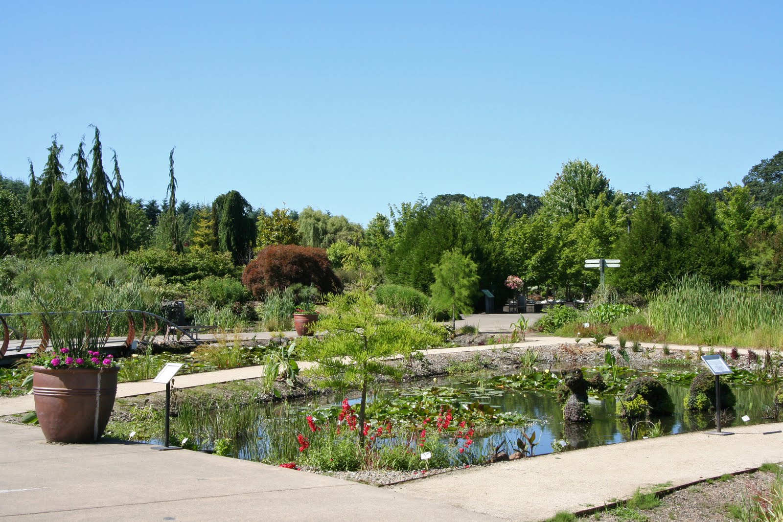 Daffodils & Daydreams: Garden Visit – Oregon Garden in ...