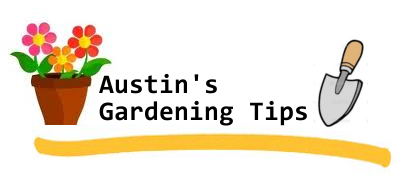 Austin's Gardening Tips