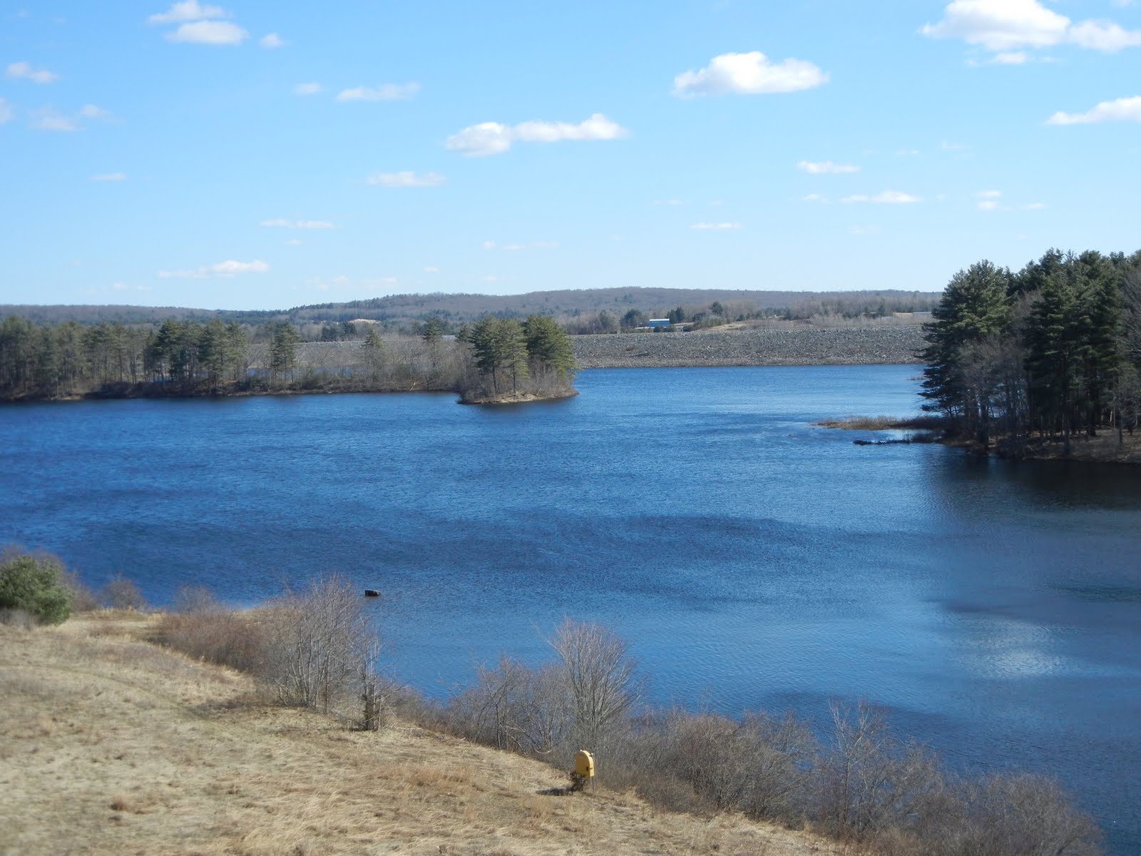 Linda Zajac Mansfield Hollow State Park, Mansfield