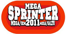 Mega Sprinter 2011