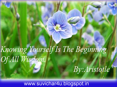 Knowing yourself is the beginning of all wisdom. By aristole