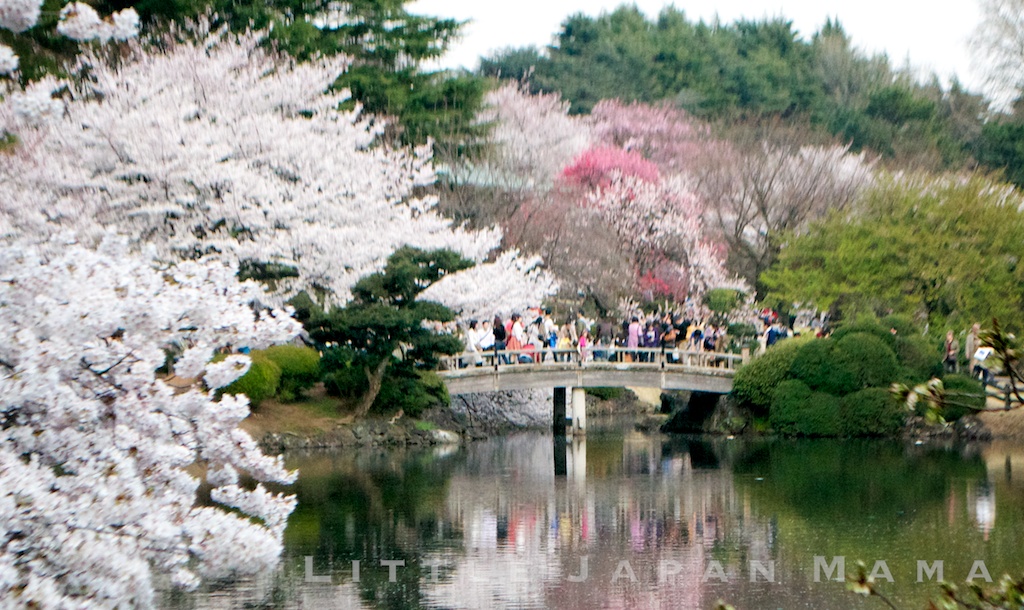 japan is my dream place to visit It is been my dream to have my own picture, stand in-front of the eiffel tower i also heard that it is the perfect place for a marriage couple to go for honeymoon beside that, there is a place in paris known as canal st martin. japan is my dream place to visit It is been my dream to have my own picture, stand in-front of the eiffel tower i also heard that it is the perfect place for a marriage couple to go for honeymoon beside that, there is a place in paris known as canal st martin.