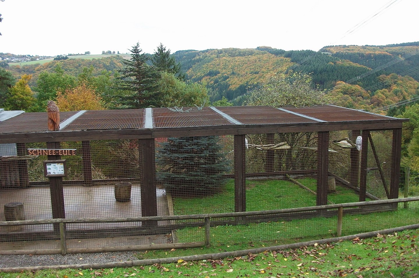Wanderung Westerwald Wandern Rund Um Den Koppel Montabaur