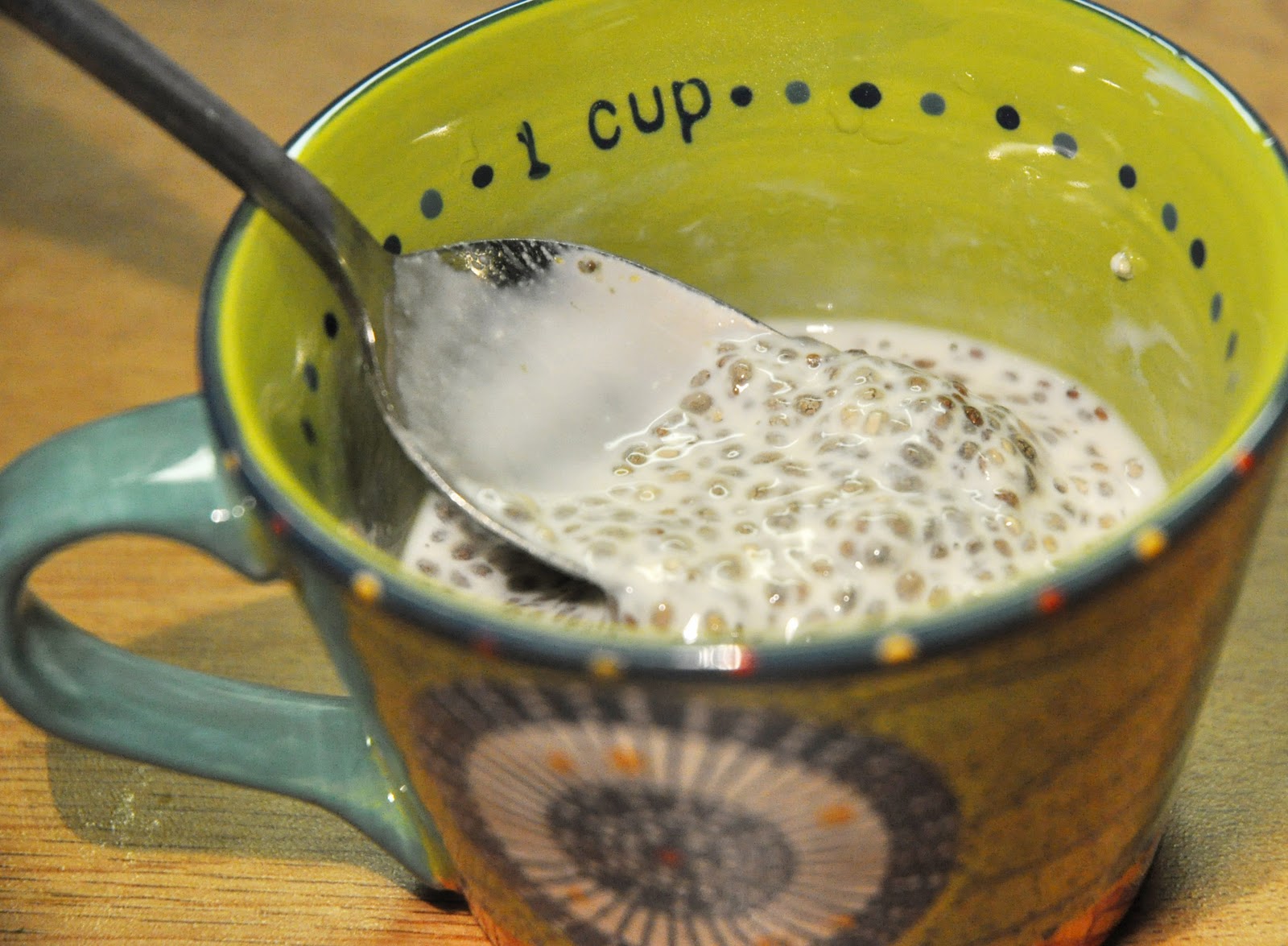 The Challenged Health Nut The Pumpkin Chia Pudding Experiment