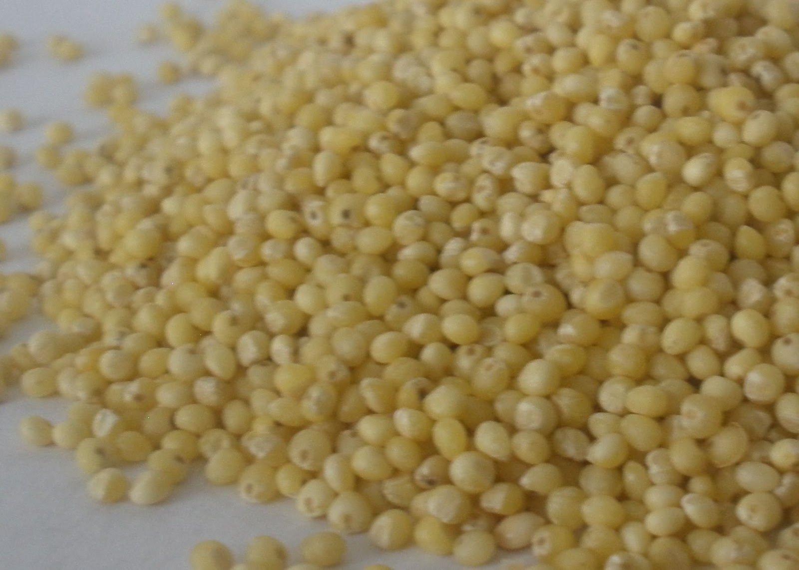 Bulk Foods Savvy All About Grains