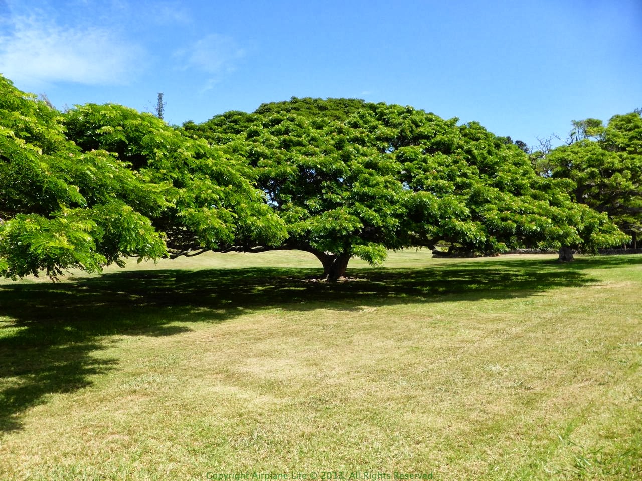 Airplane Life: September 2013