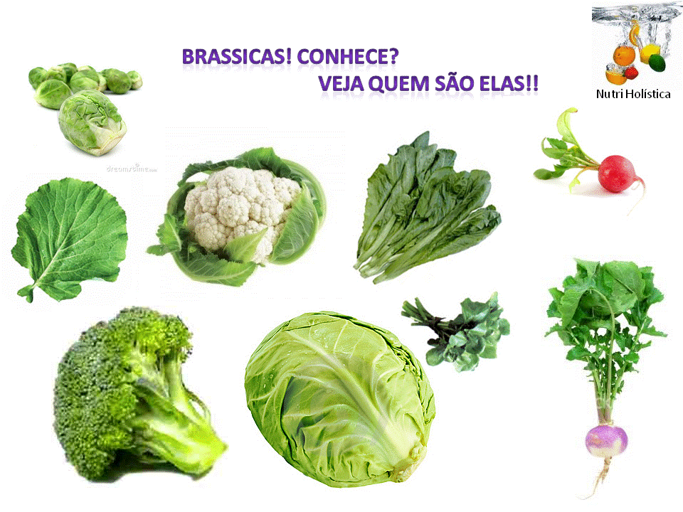 . Couveflor, Brócolis, couve...essas são as Brassicas. Entenda um